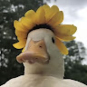 Meet your Posher, Maya